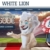 Casino White Lion en ligne français