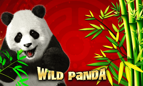Machine a sous Wild Panda