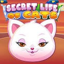Secret life of Cats Slot Machine